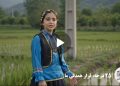 ساخت نخستین ویدئوكلیپ مبتنی بر هوش مصنوعی با محوریت پویش «۲۵ درجه؛ قرار همدلی» در شركت توزیع نیروی برق مازندران
